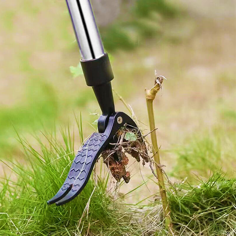 GardenPulse™ Essential Bundle