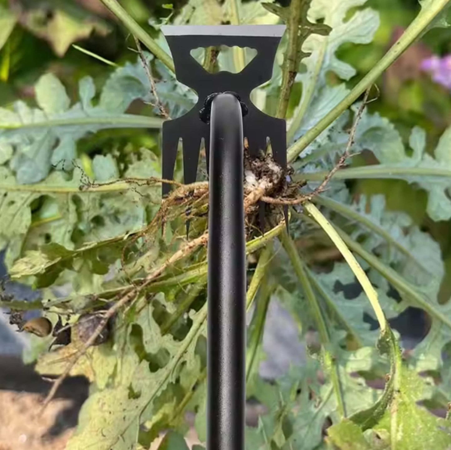 "The Best Garden Tool Ever For Weeds" - GardenPulse™ Uprooter